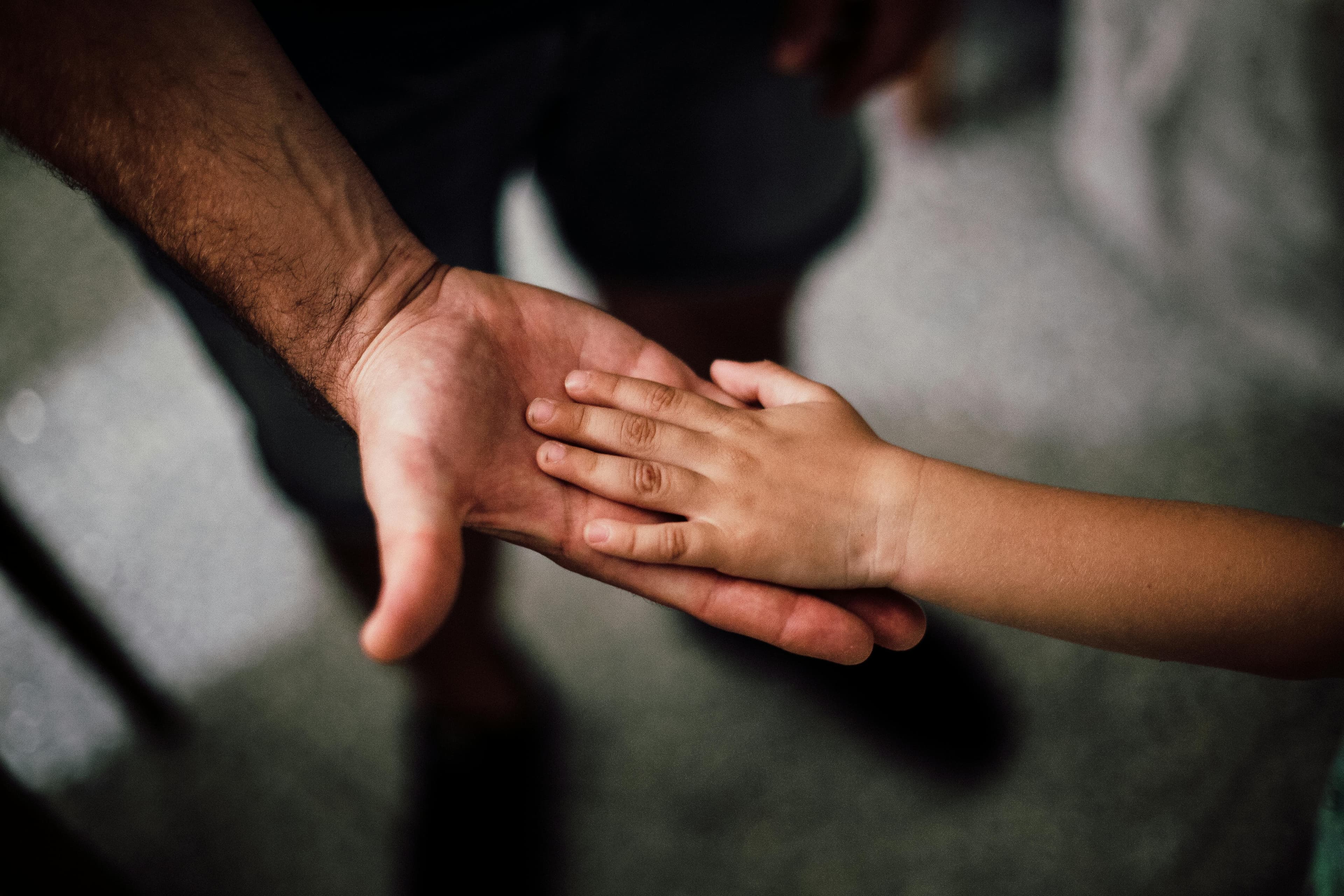 What to Expect During the Surrogacy Process in California